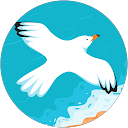 Leila Koral profile picture