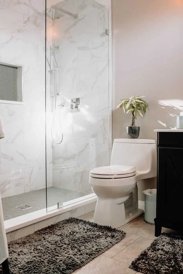 an image about A modern bathroom with marble walls featuring a glass shower enclosure, a toilet, and a potted plant on the vanity.